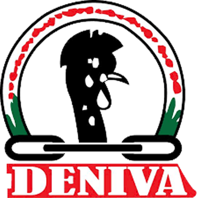 DenivaLogo